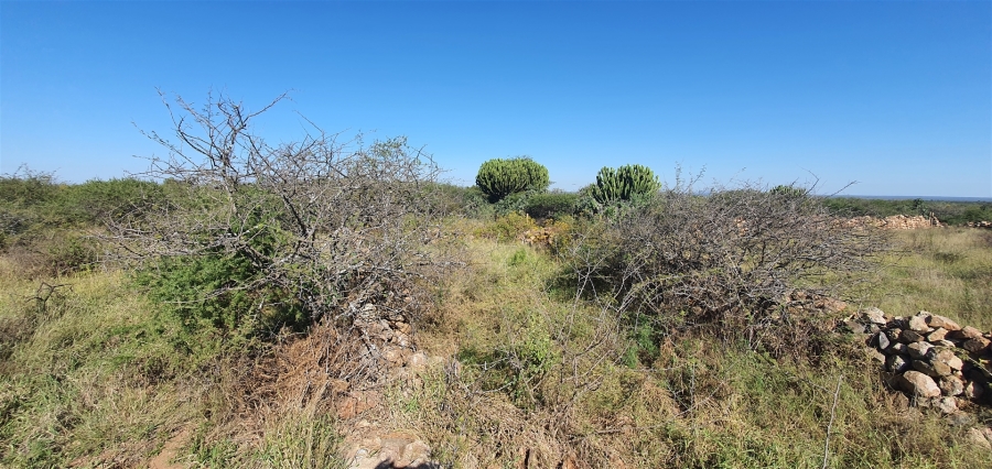 0 Bedroom Property for Sale in Louis Trichardt Limpopo
