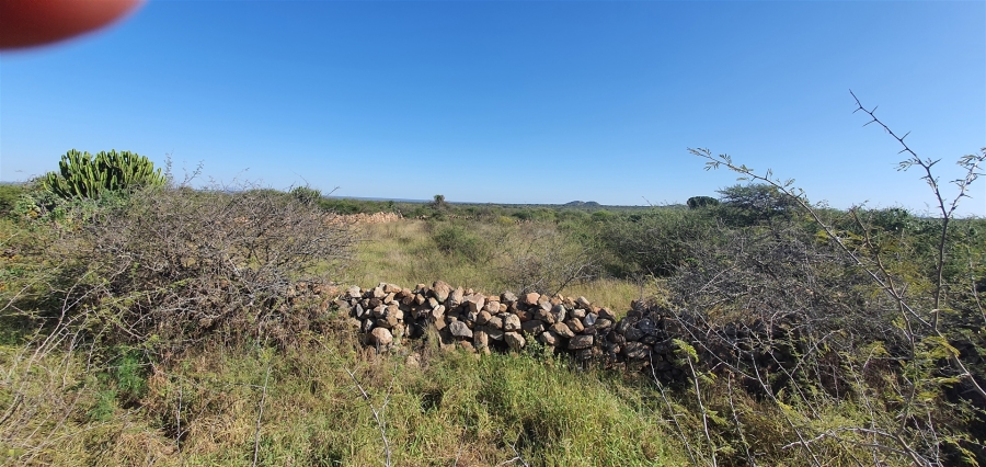0 Bedroom Property for Sale in Louis Trichardt Limpopo