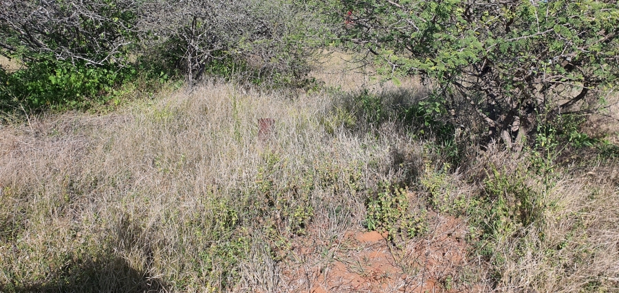 0 Bedroom Property for Sale in Louis Trichardt Limpopo