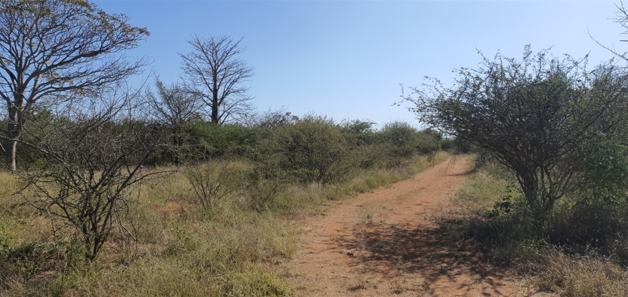 0 Bedroom Property for Sale in Louis Trichardt Limpopo