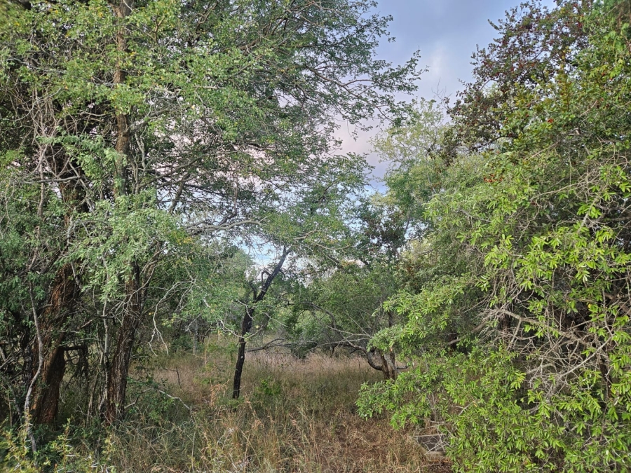 0 Bedroom Property for Sale in Moditlo Wildlife Estate Limpopo