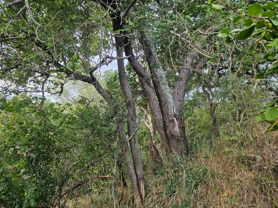 0 Bedroom Property for Sale in Moditlo Wildlife Estate Limpopo