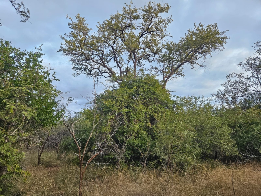 0 Bedroom Property for Sale in Moditlo Wildlife Estate Limpopo