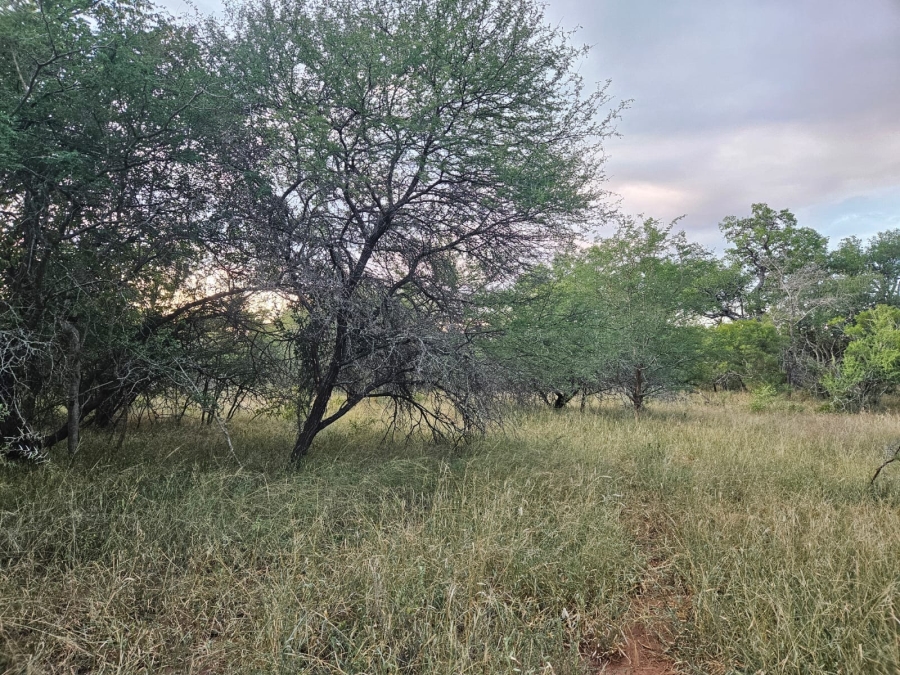 0 Bedroom Property for Sale in Moditlo Wildlife Estate Limpopo