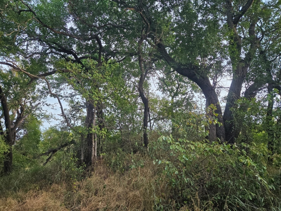 0 Bedroom Property for Sale in Moditlo Wildlife Estate Limpopo