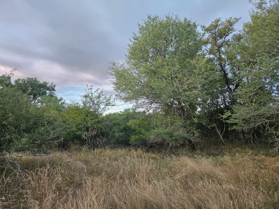 0 Bedroom Property for Sale in Moditlo Wildlife Estate Limpopo