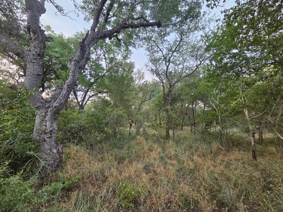 0 Bedroom Property for Sale in Moditlo Wildlife Estate Limpopo