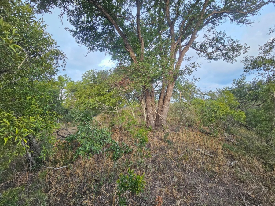 0 Bedroom Property for Sale in Moditlo Wildlife Estate Limpopo