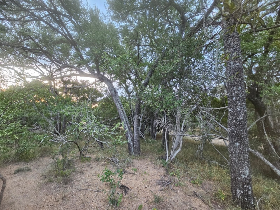 0 Bedroom Property for Sale in Moditlo Wildlife Estate Limpopo