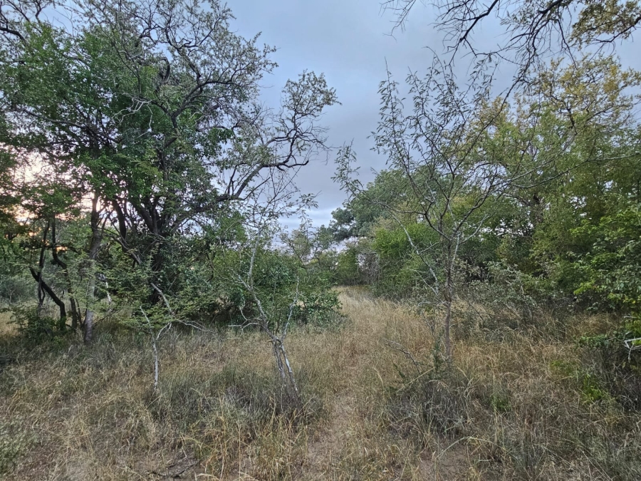 0 Bedroom Property for Sale in Moditlo Wildlife Estate Limpopo