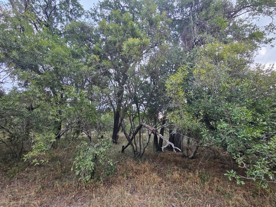 0 Bedroom Property for Sale in Moditlo Wildlife Estate Limpopo