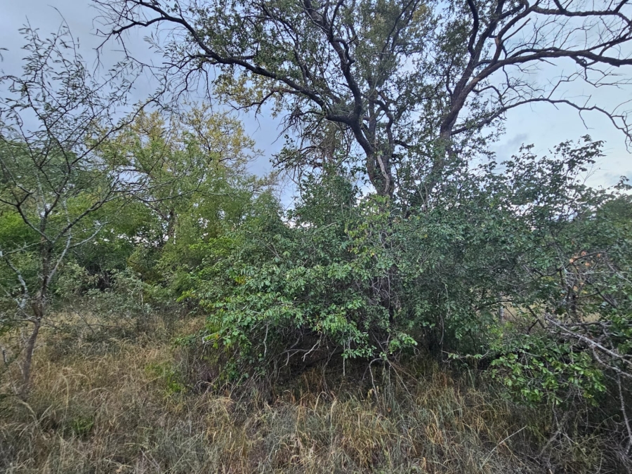 0 Bedroom Property for Sale in Moditlo Wildlife Estate Limpopo