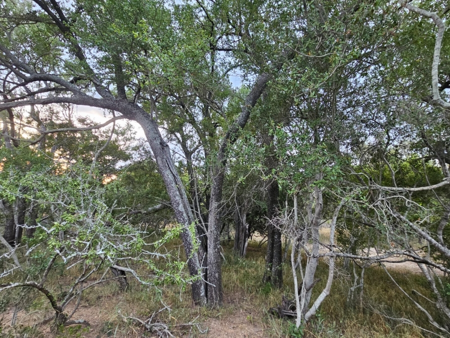 0 Bedroom Property for Sale in Moditlo Wildlife Estate Limpopo