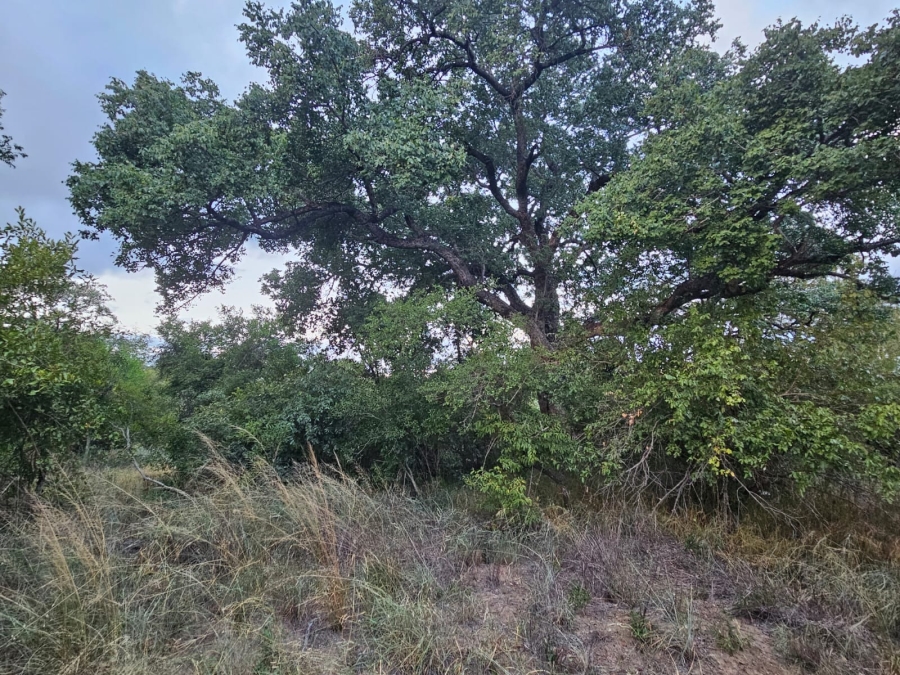 0 Bedroom Property for Sale in Moditlo Wildlife Estate Limpopo