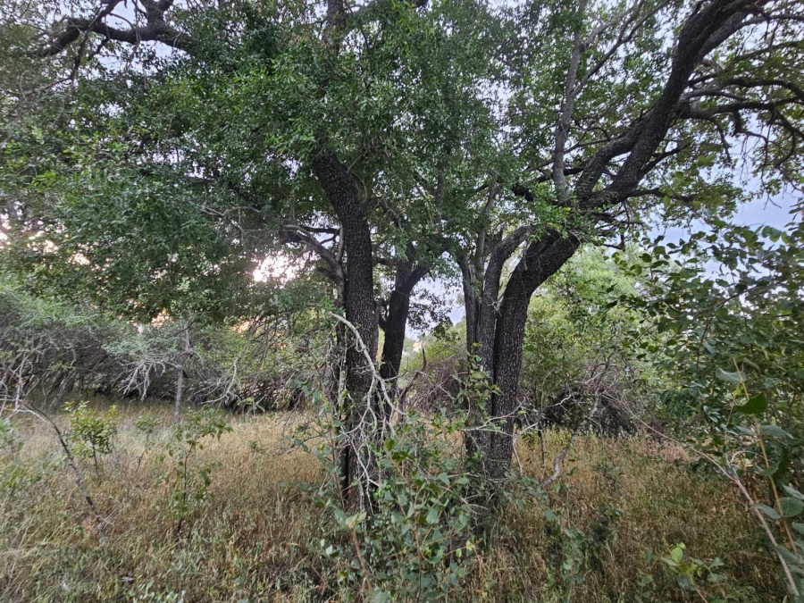 0 Bedroom Property for Sale in Moditlo Wildlife Estate Limpopo