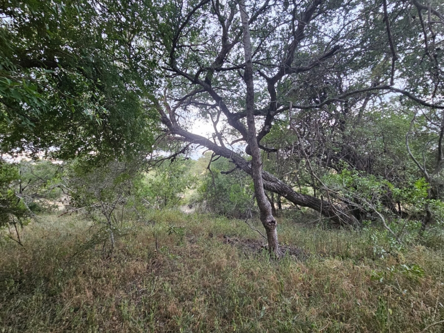 0 Bedroom Property for Sale in Moditlo Wildlife Estate Limpopo