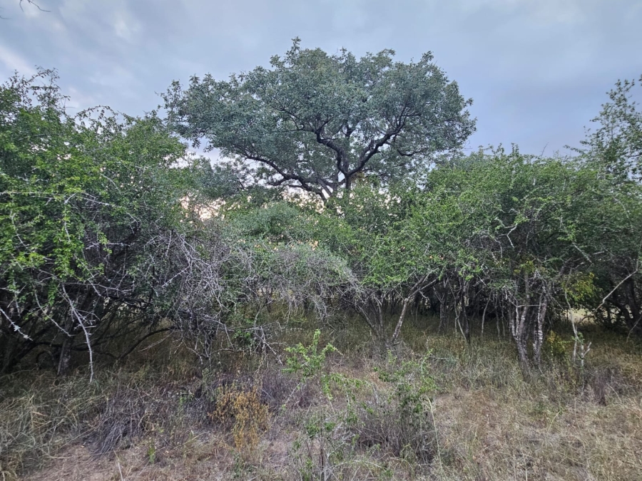 0 Bedroom Property for Sale in Moditlo Wildlife Estate Limpopo