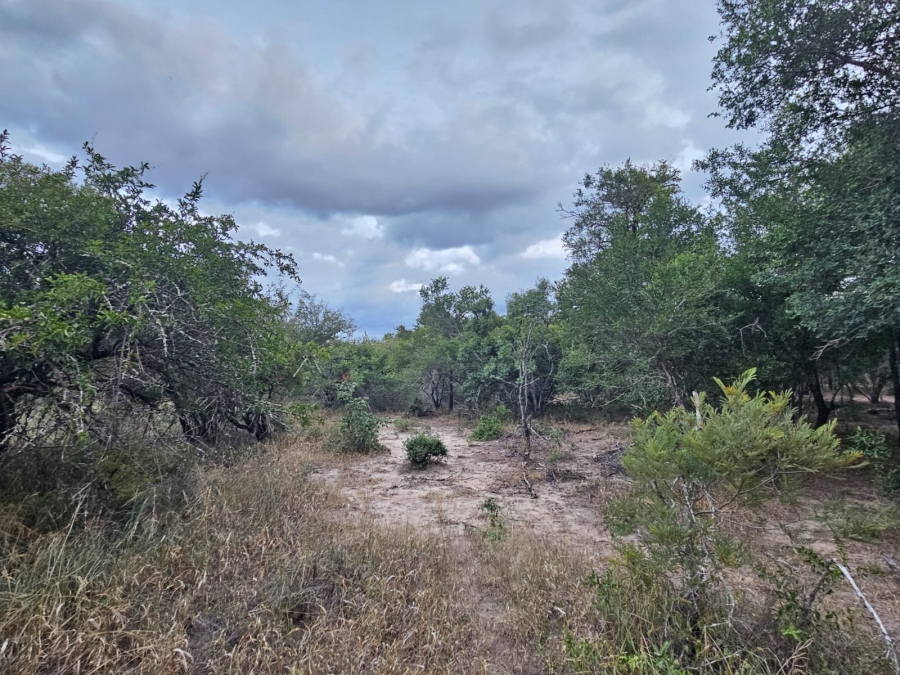 0 Bedroom Property for Sale in Moditlo Wildlife Estate Limpopo