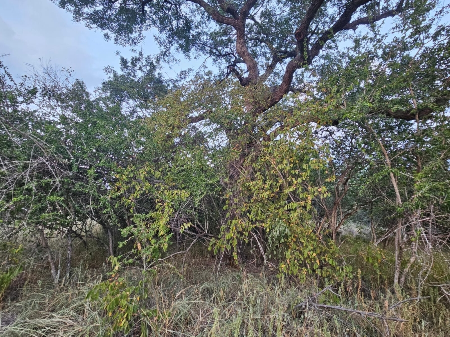 0 Bedroom Property for Sale in Moditlo Wildlife Estate Limpopo