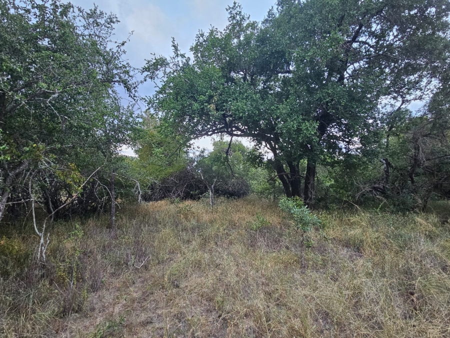 0 Bedroom Property for Sale in Moditlo Wildlife Estate Limpopo