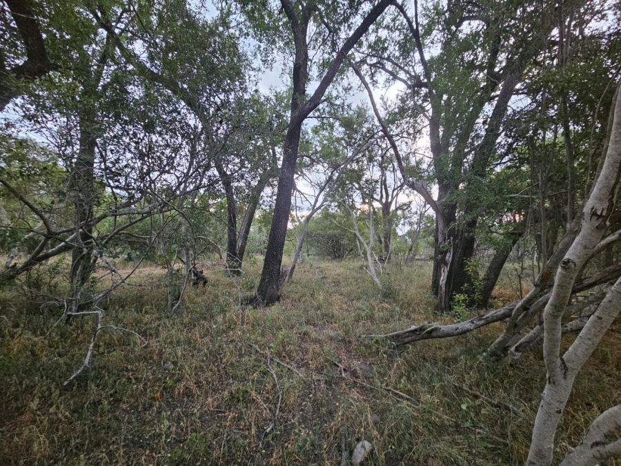 0 Bedroom Property for Sale in Moditlo Wildlife Estate Limpopo