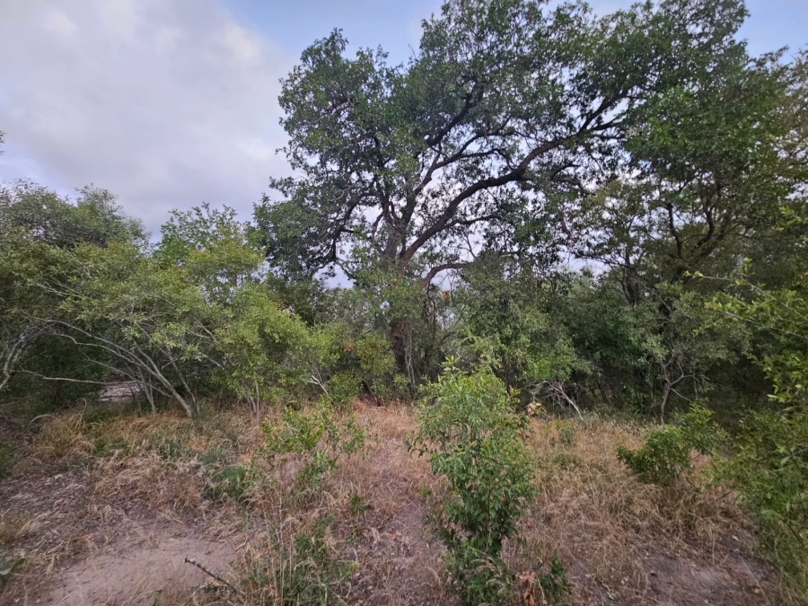 0 Bedroom Property for Sale in Moditlo Wildlife Estate Limpopo