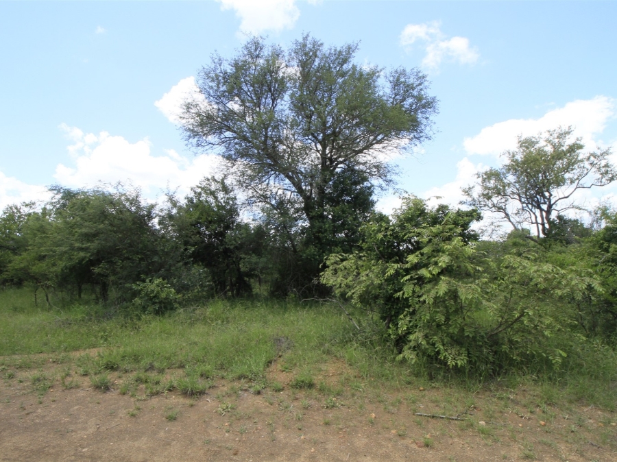 0 Bedroom Property for Sale in Moditlo Wildlife Estate Limpopo