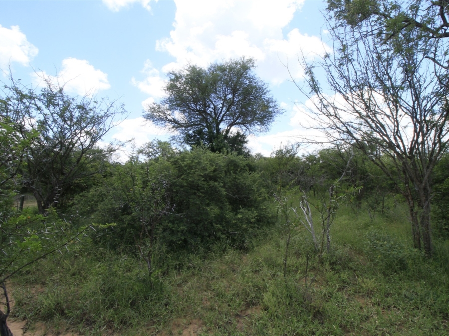 0 Bedroom Property for Sale in Moditlo Wildlife Estate Limpopo