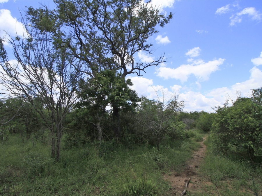 0 Bedroom Property for Sale in Moditlo Wildlife Estate Limpopo