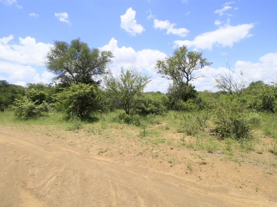0 Bedroom Property for Sale in Moditlo Wildlife Estate Limpopo