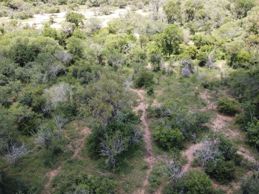 0 Bedroom Property for Sale in Moditlo Wildlife Estate Limpopo