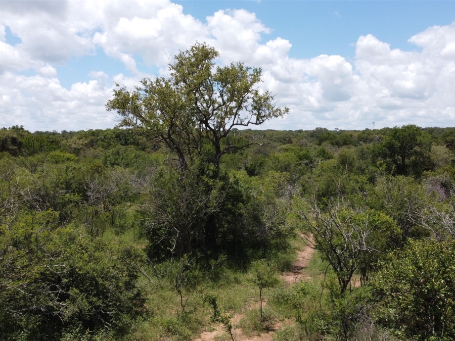 0 Bedroom Property for Sale in Moditlo Wildlife Estate Limpopo