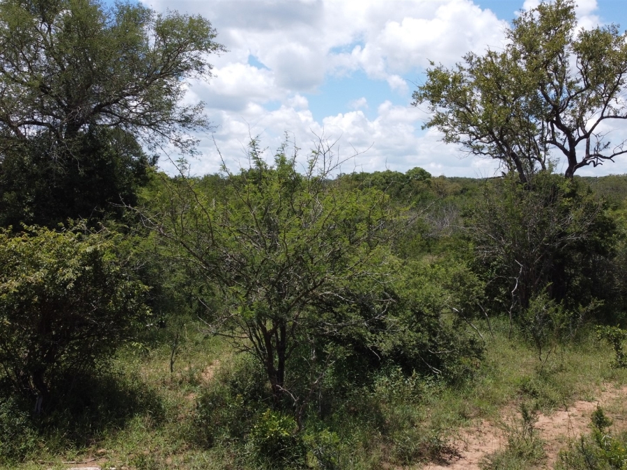0 Bedroom Property for Sale in Moditlo Wildlife Estate Limpopo