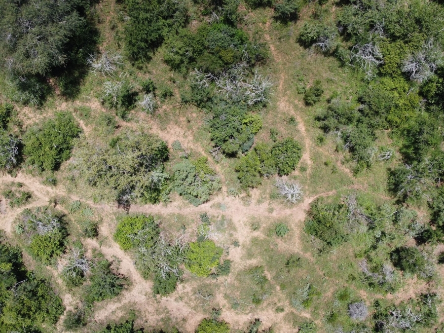 0 Bedroom Property for Sale in Moditlo Wildlife Estate Limpopo