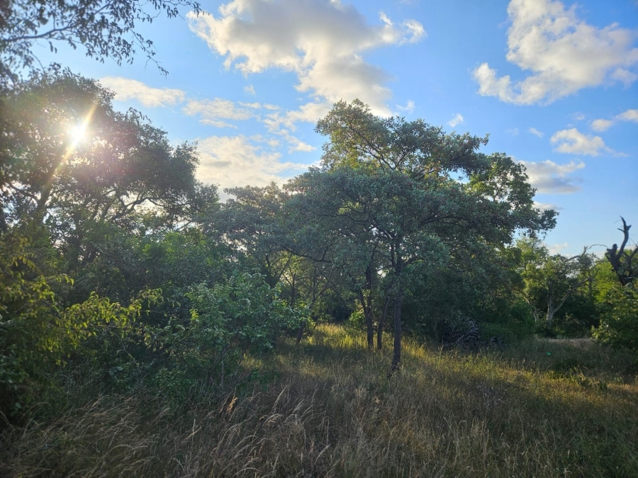 0 Bedroom Property for Sale in Moditlo Wildlife Estate Limpopo