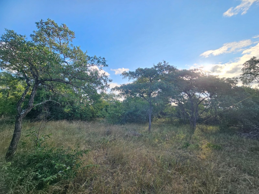 0 Bedroom Property for Sale in Moditlo Wildlife Estate Limpopo