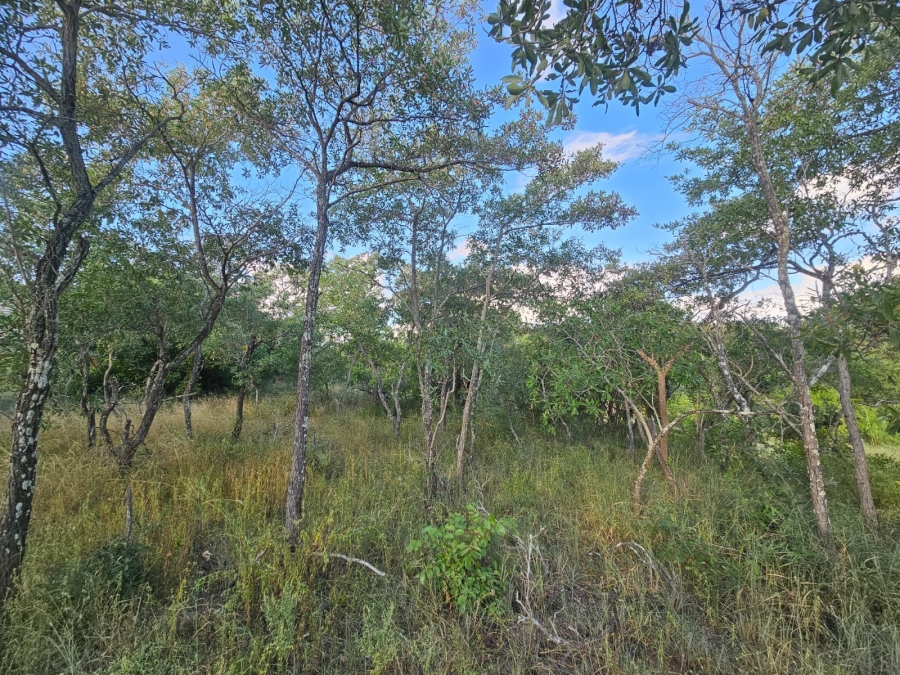 0 Bedroom Property for Sale in Moditlo Wildlife Estate Limpopo