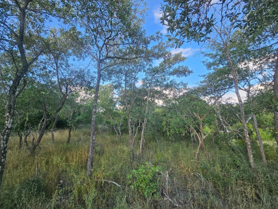 0 Bedroom Property for Sale in Moditlo Wildlife Estate Limpopo