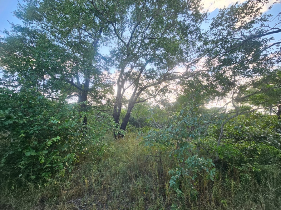 0 Bedroom Property for Sale in Moditlo Wildlife Estate Limpopo