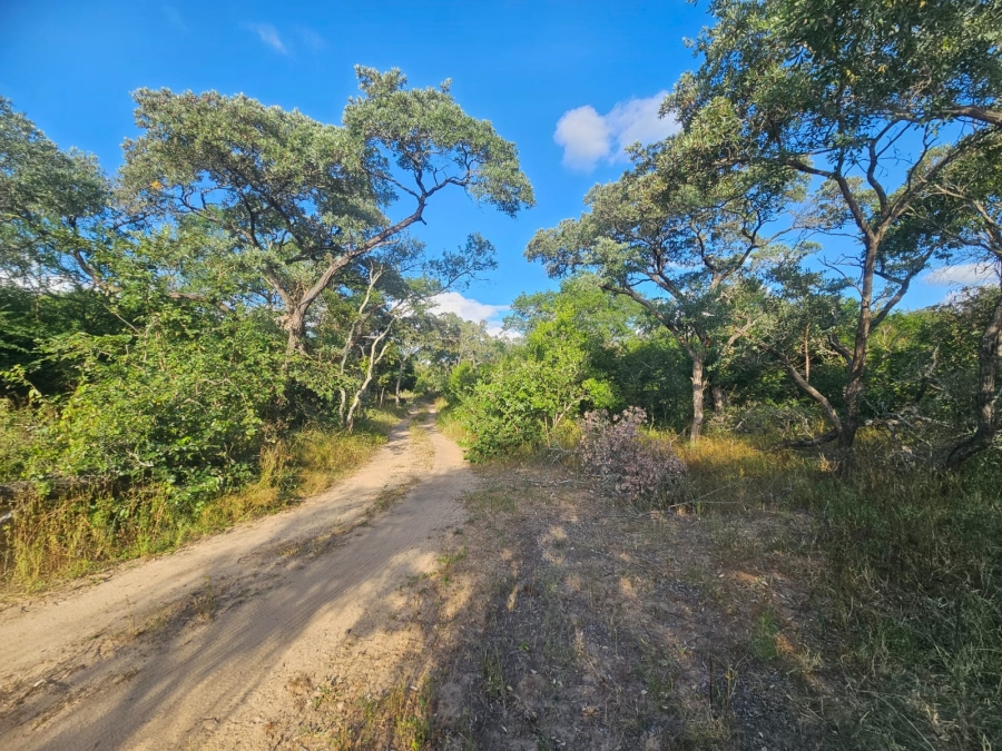 0 Bedroom Property for Sale in Moditlo Wildlife Estate Limpopo