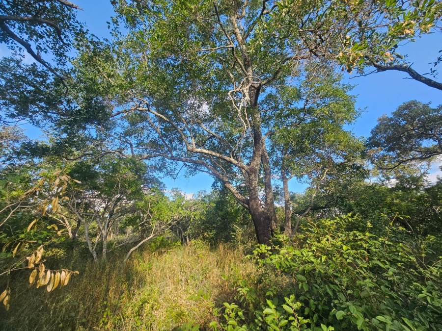 0 Bedroom Property for Sale in Moditlo Wildlife Estate Limpopo