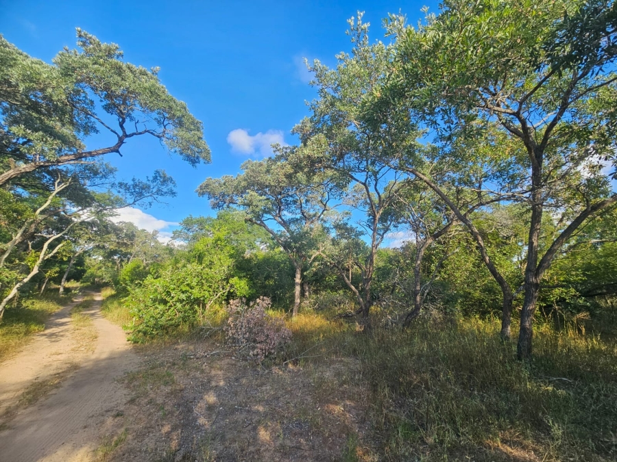 0 Bedroom Property for Sale in Moditlo Wildlife Estate Limpopo