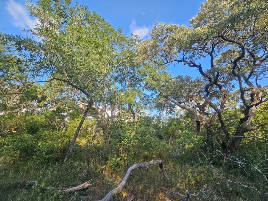 0 Bedroom Property for Sale in Moditlo Wildlife Estate Limpopo