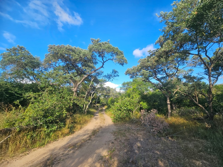 0 Bedroom Property for Sale in Moditlo Wildlife Estate Limpopo