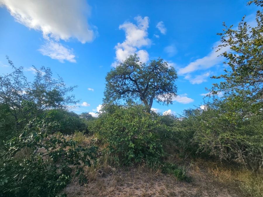 0 Bedroom Property for Sale in Moditlo Wildlife Estate Limpopo