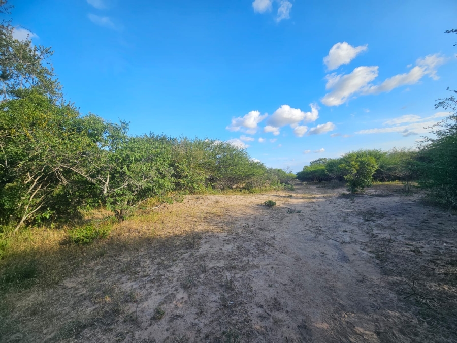 0 Bedroom Property for Sale in Moditlo Wildlife Estate Limpopo