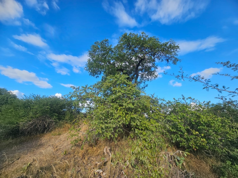 0 Bedroom Property for Sale in Moditlo Wildlife Estate Limpopo