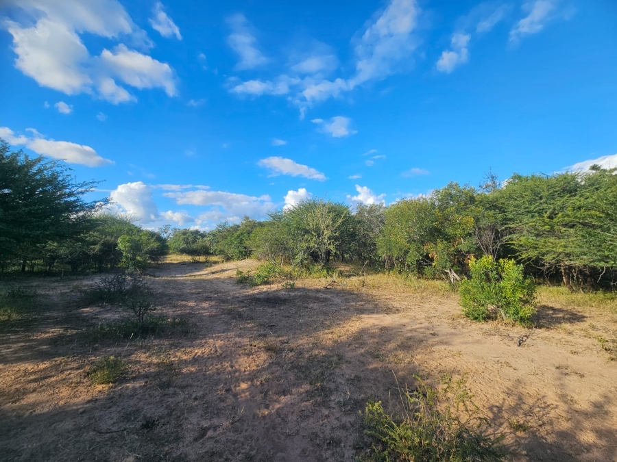 0 Bedroom Property for Sale in Moditlo Wildlife Estate Limpopo