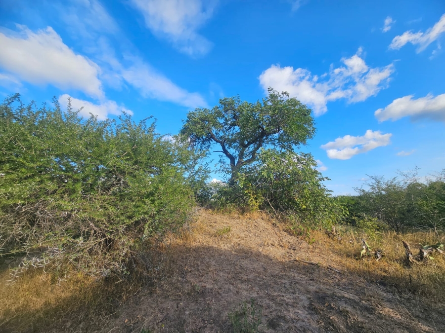 0 Bedroom Property for Sale in Moditlo Wildlife Estate Limpopo