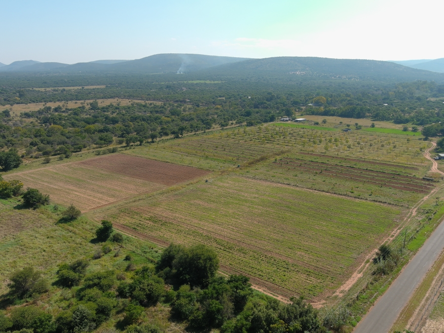 0 Bedroom Property for Sale in Bela Bela Limpopo